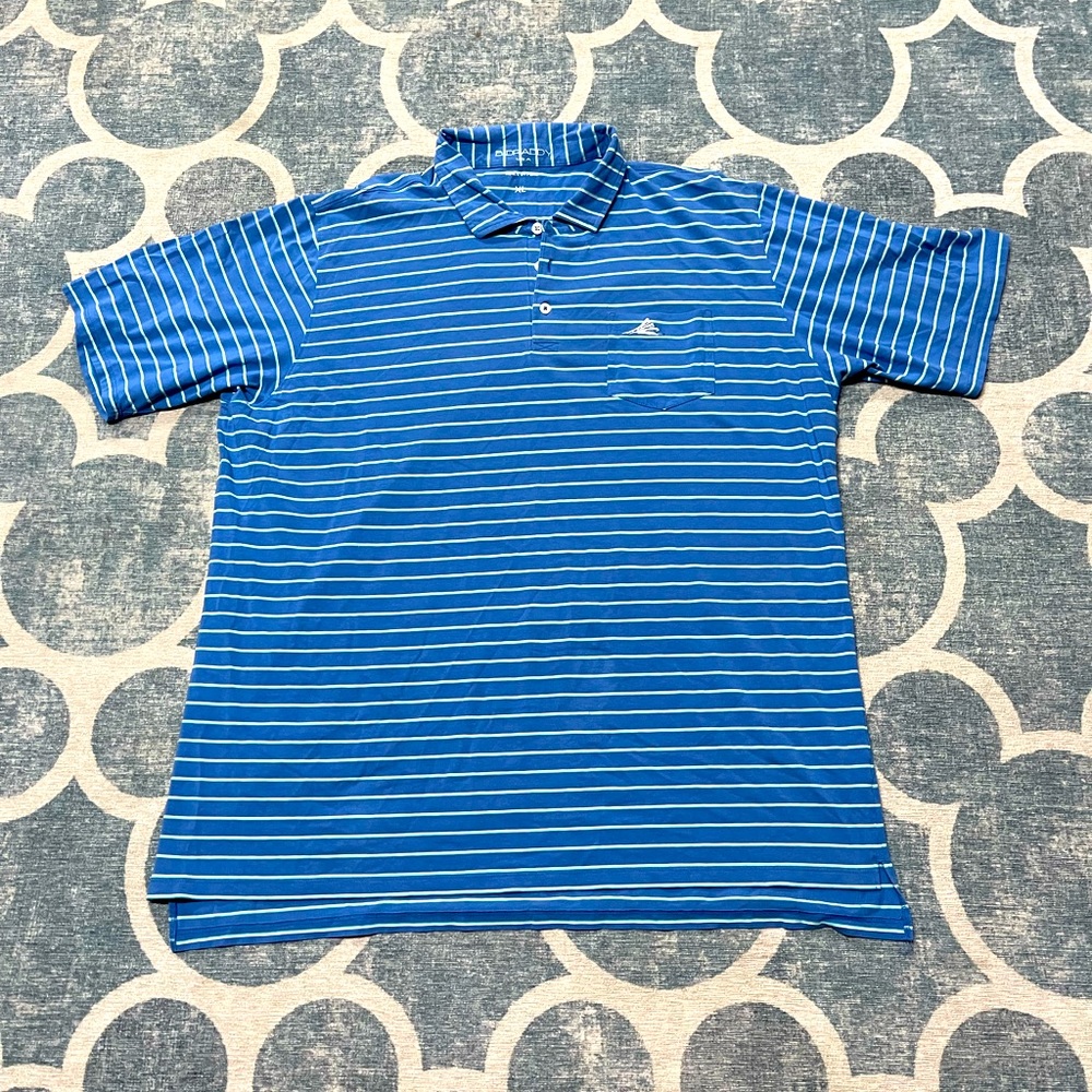 B Draddy Polo